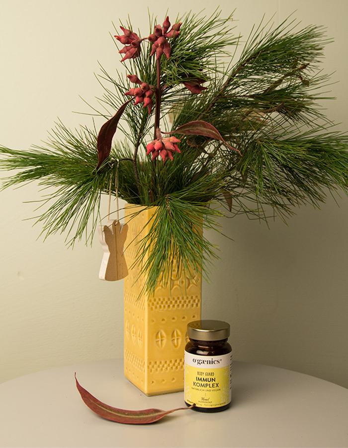 Body Guard Immun-Komplex mit Tannenzweigen