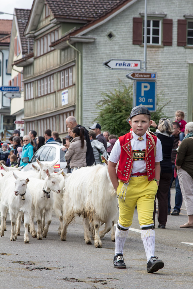 junge-alpabtrieb-appenzell-urnaesch