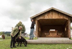 Reka Feriendorf Urnäsch: Papas mit Ponys