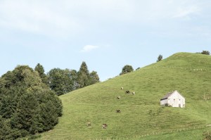 Aussicht vom Reka Feriendorf Urnäsch