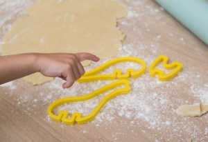 Formen für 3D-Dinosaurier-Kekse von wayfair