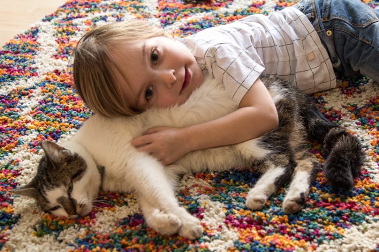 teppich-bunt-katze-kind-wayfair