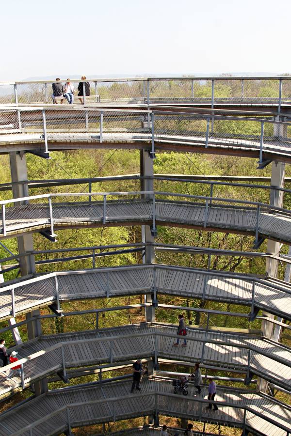 aussichtsturm-adlernest-baumwipfelpfad-ruegen