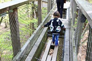 Baumwipfelpfad Prora auf Rügen