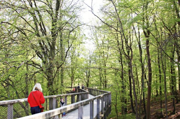 baumwipfelpfad-ruegen