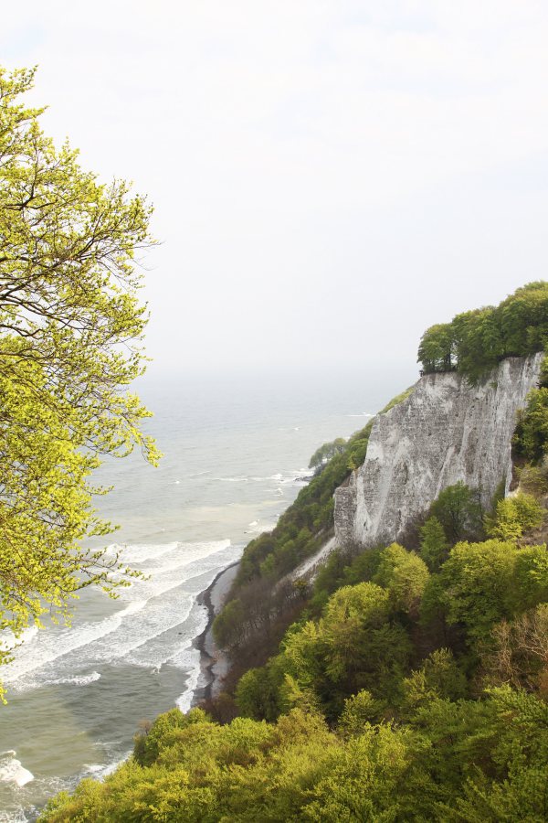 kreidefelsen-ruegen-oben